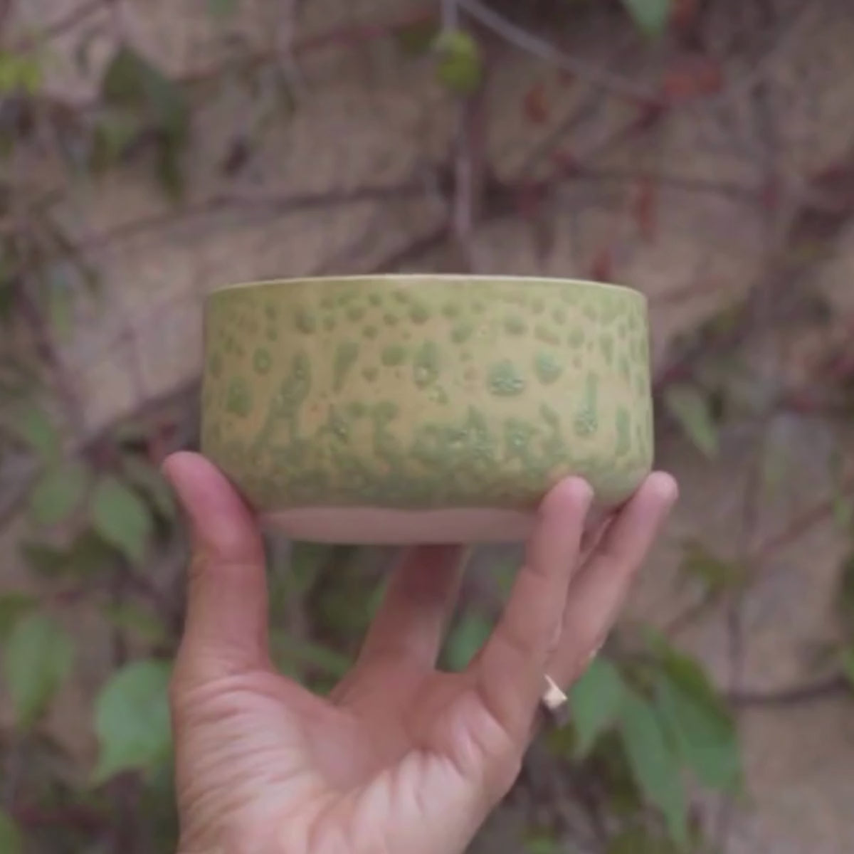 Chawan / Cuenco Salpicadura Verde Para Matcha