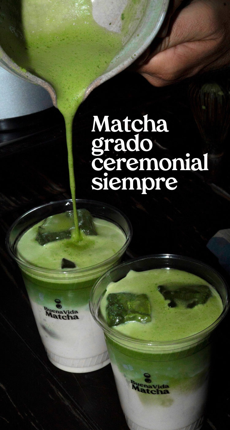 Matcha_grado_ceremonial_siempre.jpg