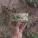 Chawan / Cuenco Blanco, Verde Y Manchado Para Matcha