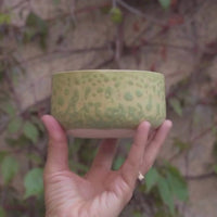 Chawan / Cuenco Salpicadura Verde Para Matcha